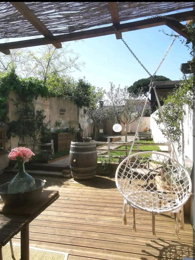 La Maison De Marie - Jardin Arbore - Garage Privatif - Netflix Carcassone Exterior photo