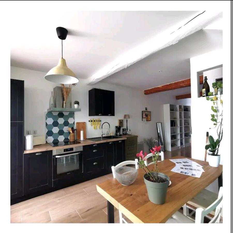 La Maison De Marie - Jardin Arbore - Garage Privatif - Netflix Carcassone Exterior photo